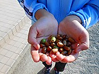 Dscn2183