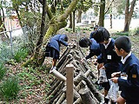 Dscn2946